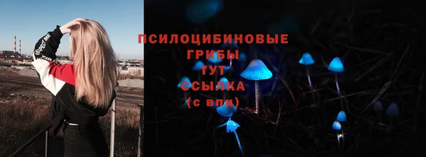 mdpv Балабаново