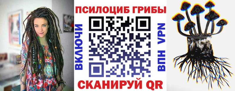 KRAKEN ссылки  Видное  Псилоцибиновые грибы мицелий 